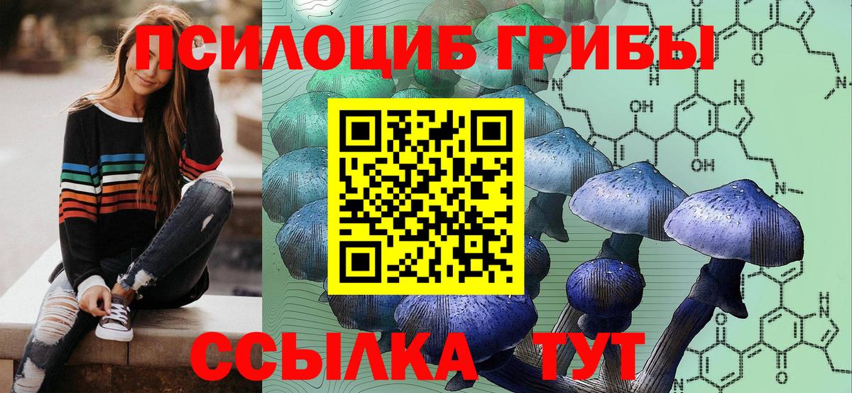 Псилоцибиновые грибы GOLDEN TEACHER  Галлюциногенные грибы мухоморы  Белгород  Вход с VPN 